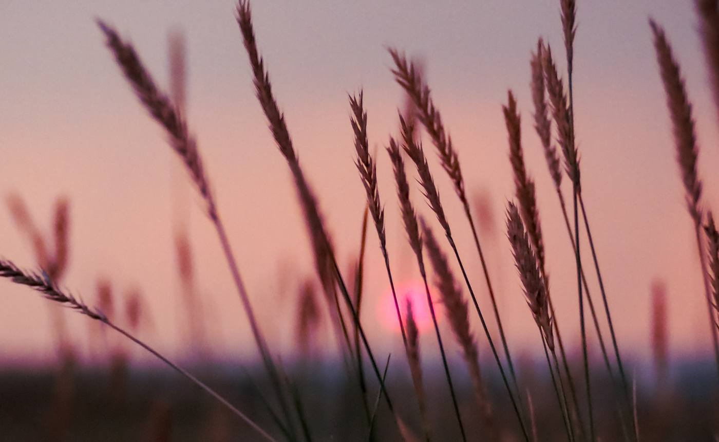 Health and community in Oklahoma